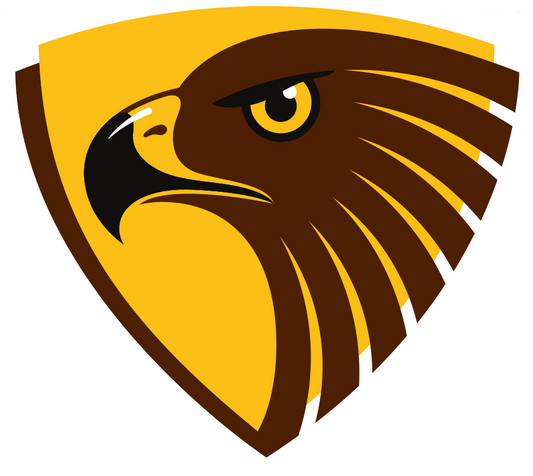 Iron on Transfer - You make your T shirt with an iron - (W) AFL Hawthorn Hawks