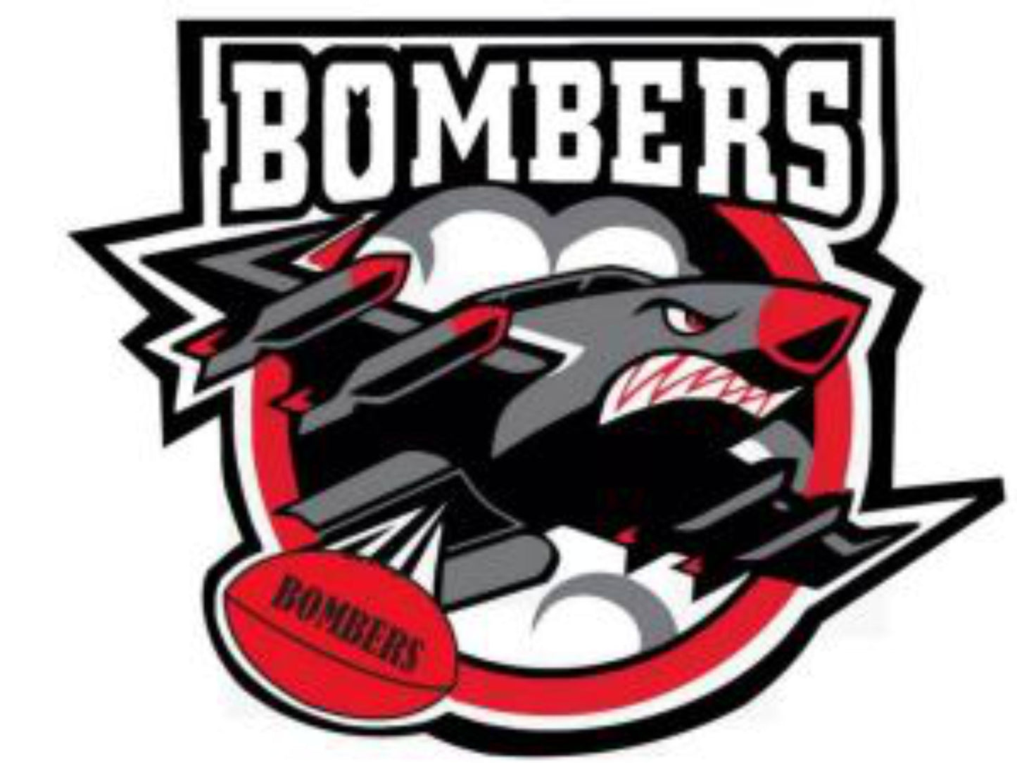 Sticker Set - (G5) AFL Essendon Bombers