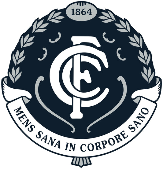 Iron on Transfer - You make your T shirt with an iron - AFL Carlton Blues