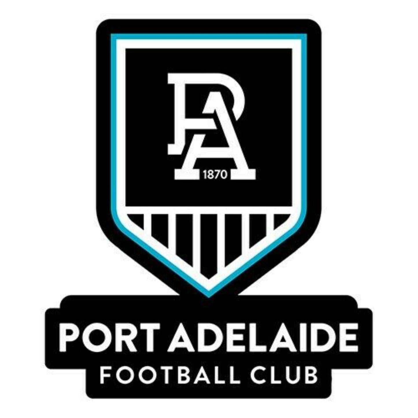 Iron on Transfer - You make your T shirt with an iron - (W) AFL Port Adelaide