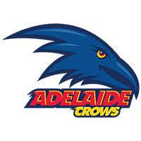 Iron on Transfer - You make your T shirt with an iron -  AFL Adelaide Crows