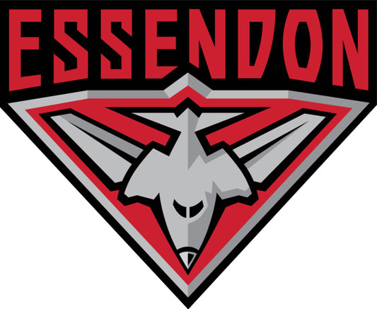 Iron on Transfer - You make your T shirt with an iron - AFL Essendon Bombers